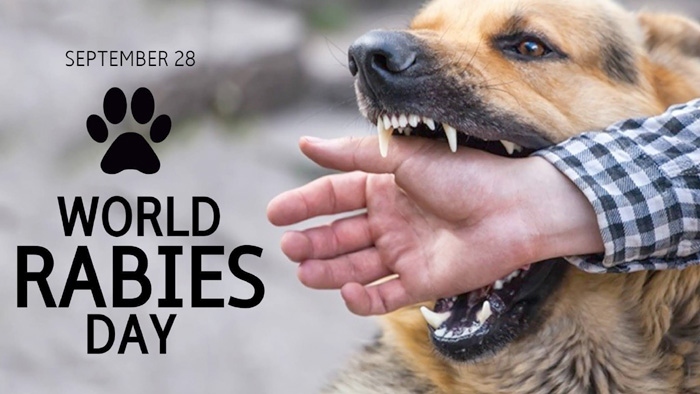 Best World Rabies Day Messages, Quotes & Slogans