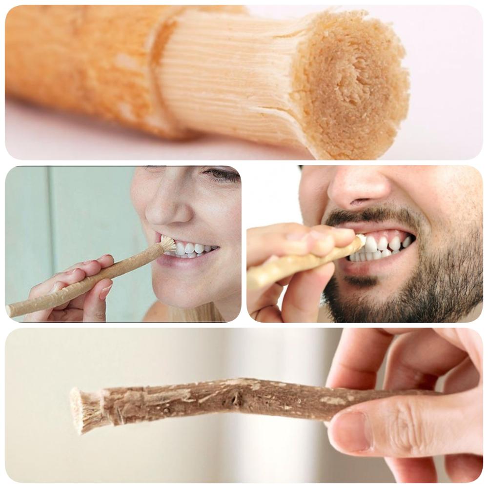 Uses Of Miswak  दांतों की कई समस्या का इलाज है मिस्वाक