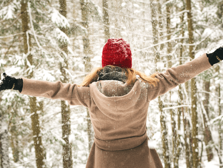 Winter Holiday Planning: सर्दियों में घुमने की कर रहे हैं प्लानिंग तो इससे बेहतर जगह नहीं मिलेगी