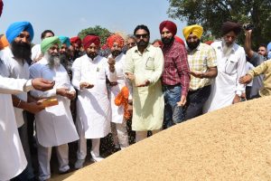 CM Channi : Every grain of the crop will be bought