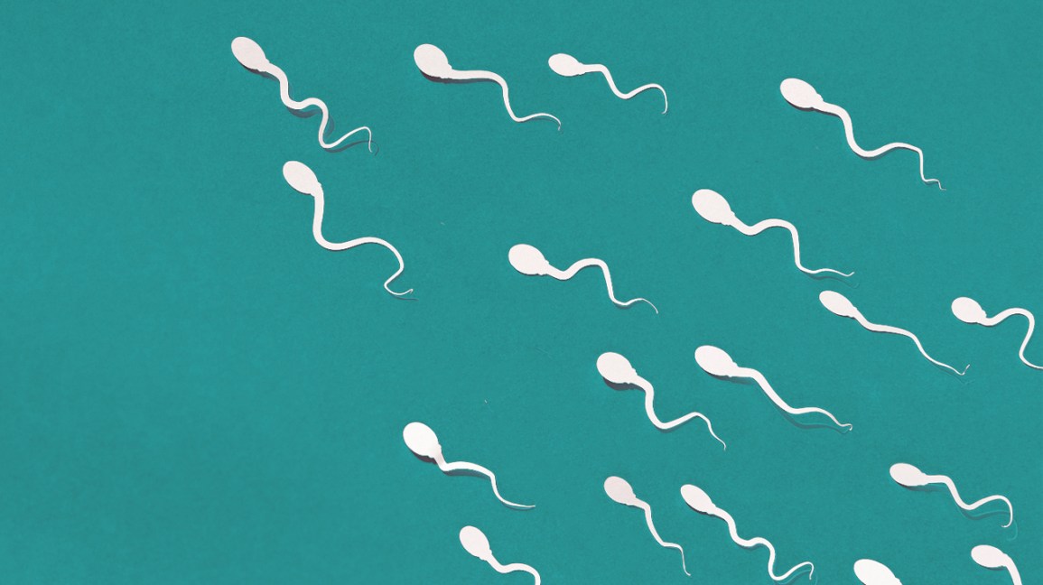 Ways To Increase Fertility And Sperm Quality इन 4 तरीकों से बढ़ा सकते हैं अपनी फर्टिलिटी और स्पर्म क्वालिटी