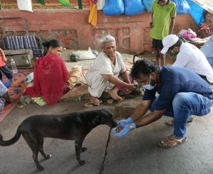 Siddharth Shukla Dog Missing Him