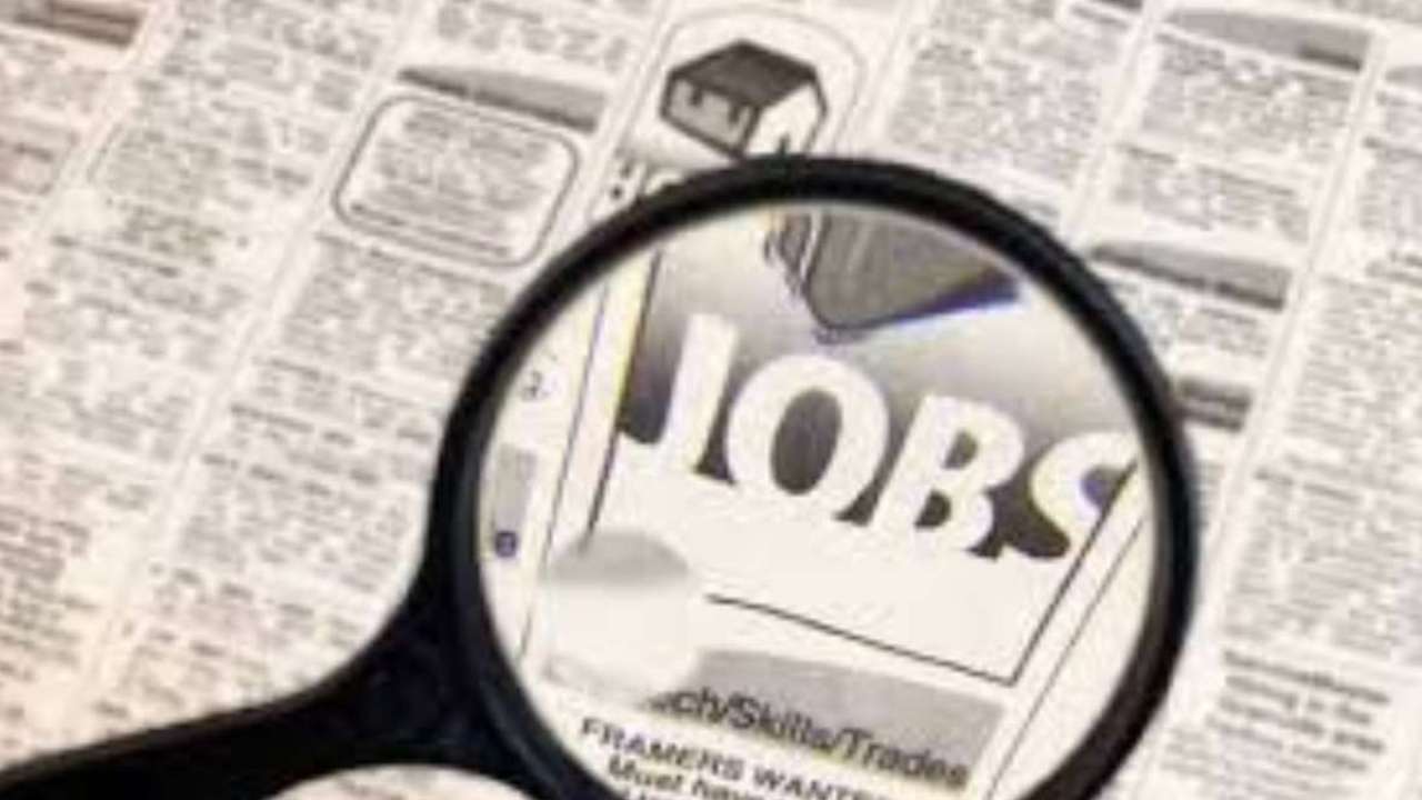 Bumper Recruitment in High Court हाईकोर्ट में बंपर भर्तियां