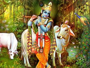 Amla Navami Wishes Messages Quotes 2021