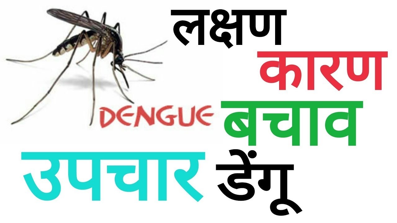 Do Not do These Five Mistakes if you Have Dengue क्या डेंगू है तो न करें ये पांच गलतियां, ऐसे बढ़ाएं प्लेटलेटस