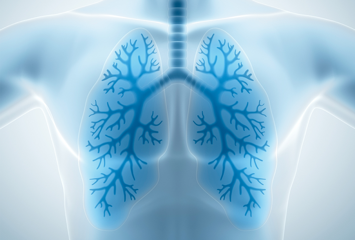 Health Tips For Lungs : दिवाली के बाद अपने फेफड़ों को ऐसे रखें हेल्दी, अपनाएं ये टिप्स