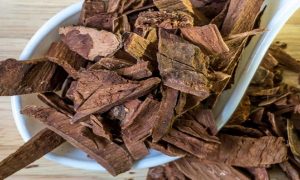 What are the Amazing Benefits of Arjun Bark