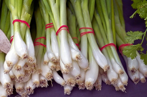 Amazing Benefits of Green Onions हरी प्याज खाने के क्या है अद्भुत फायदे