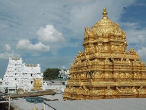 Gloves Worth 3 Crores Donated in the Temple