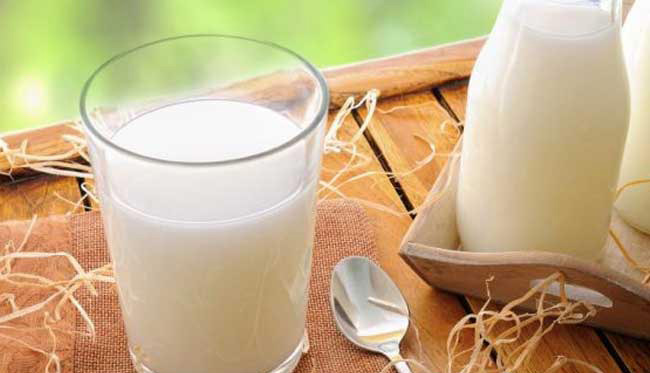 Importance Of Cow's Milk चिकित्सा शास्त्र में देसी गाय के दूध का महत्व