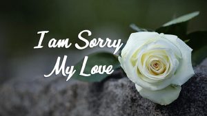 Sorry Love Messages for Girlfriend