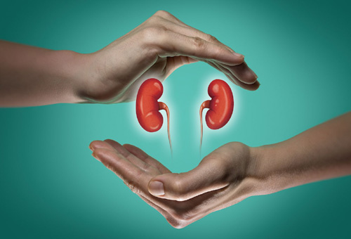 What Can Cause Kidney Damage किन चीजों से किडनी को हो सकता है नुकसान