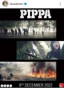 PIPPA Movie 