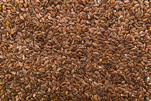 Benefits of Flax Seed in Winter सर्दी में अलसी के फायदे