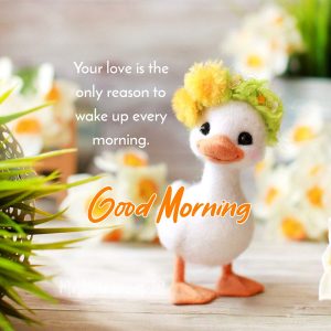 Funny Good Morning Messages for Crush