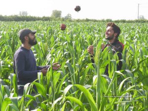 प्राकृतिक खेती को जन आंदोलन बनाएं किसान