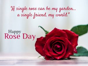Happy Rose Day 2022 Special Lines
