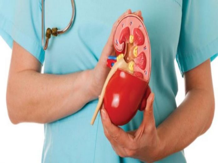 Home Remedies To Prevent Kidney Disease