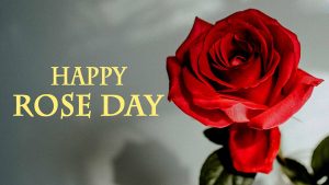 Rose Day 2022 Whatsapp and Facebook Messages