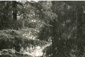 Snowfall at Shimla and Kashmir