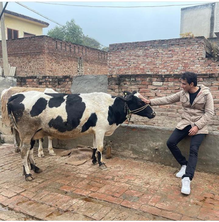 Sonu Sood Shared Pic With Cow, फैंस को ताज़ा दूध पीने के लिए पूछा