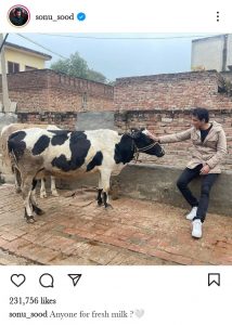 Sonu Sood Shared Pic With Cow