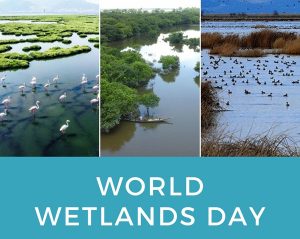 World Wetlands Day 2022 Messages