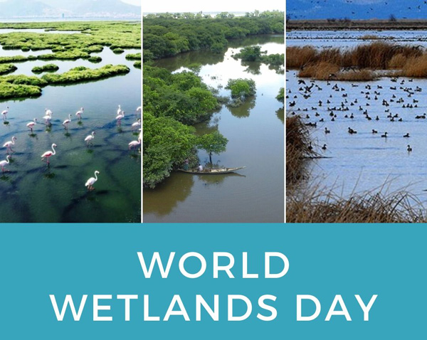 World Wetlands Day 2022 Messages - India News