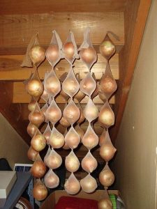 Store onions in nylon stockings