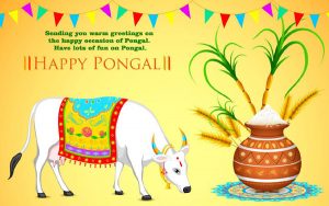 Pongal 2022 Messages for Father and Mother