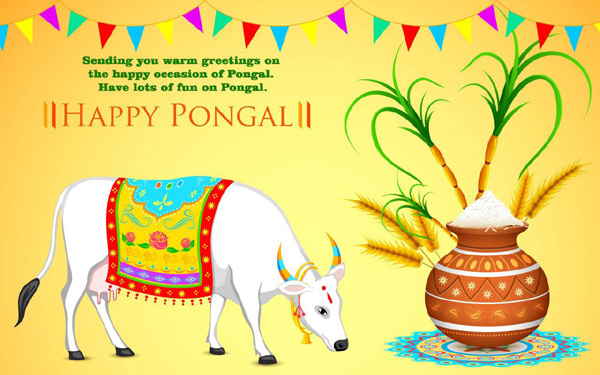 Happy Pongal 2022 Messages for Teacher