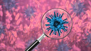 Coronavirus cases in India