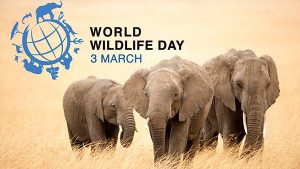 World Wildlife Day 2022 Quotes