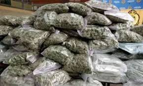Youth Arrested with 23 kg of Ganja