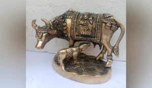 Benefits Of Cow Idol At Home