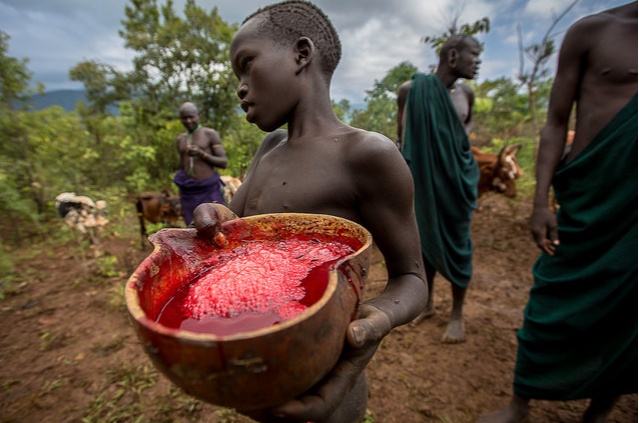 Tribe In Ethiopia Drink Blood And Milk