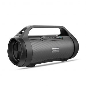 Pebble Thunder Portable Wireless Speaker