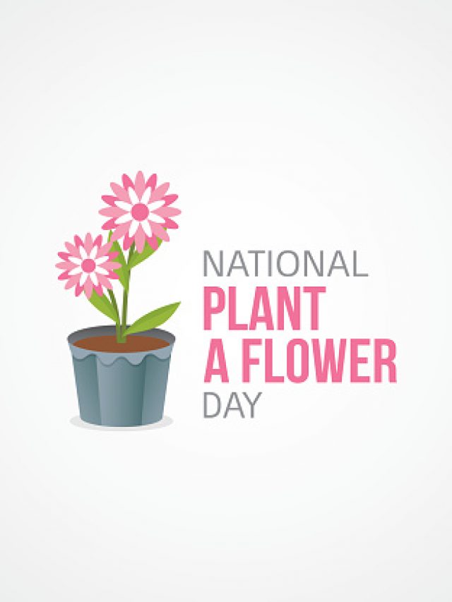 Plant a Flower Day Messages, Quotes