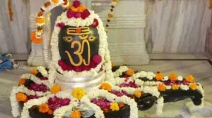 Scientific Importance of Shivling