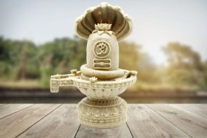 Scientific Importance of Shivling