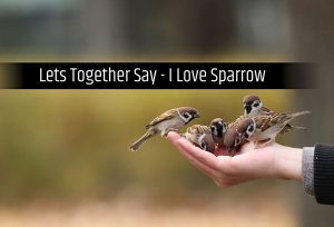 World Sparrow Day 2022 Messages