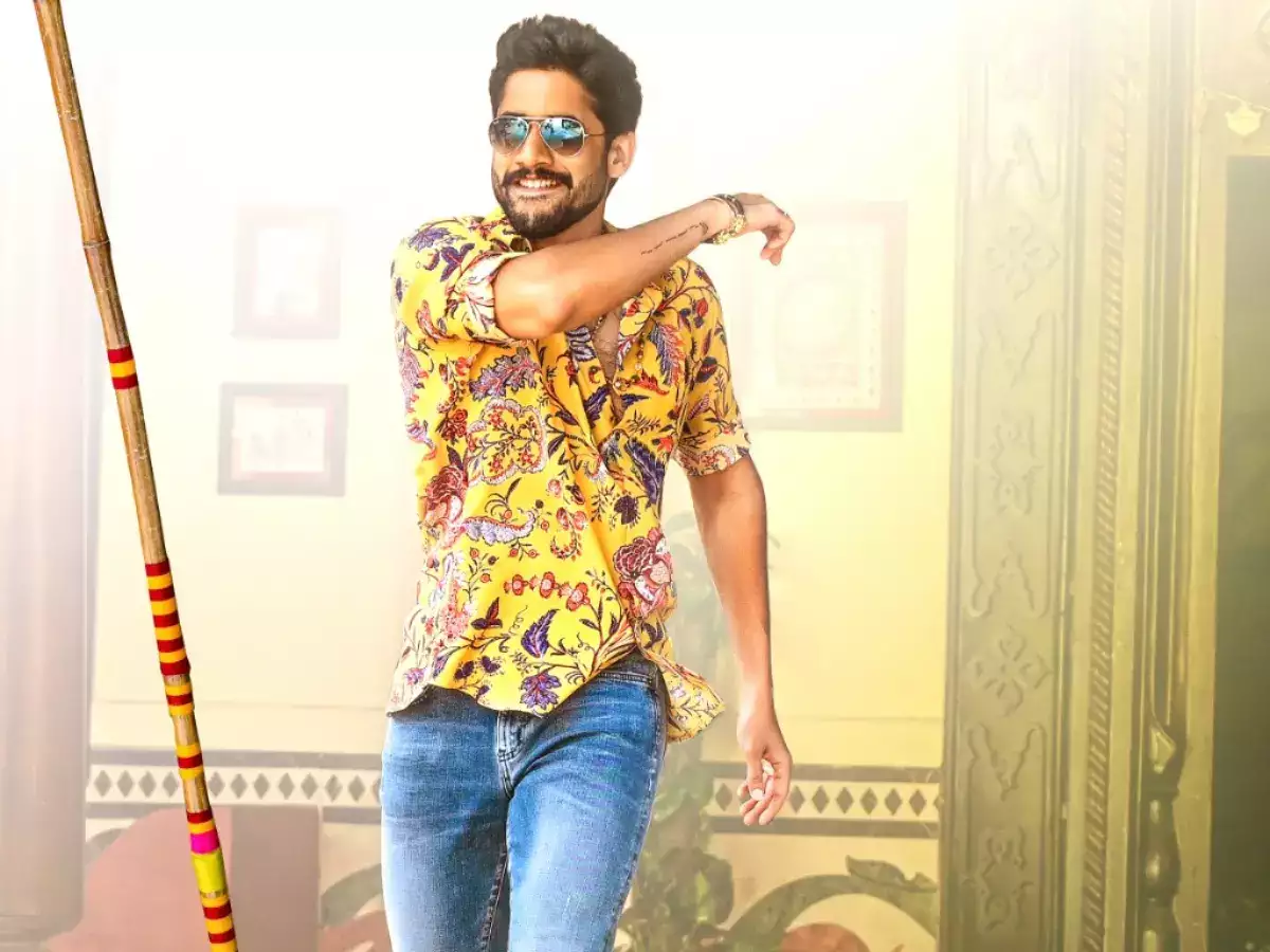 देखिए Naga Chaitanya की ये शानदार फिल्में