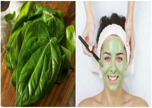 Benefits Of Betel Leaves For Skin in Hindi