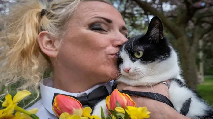 Woman married pet cat