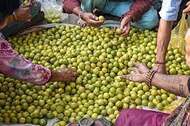 Lemon Prices Broke Records