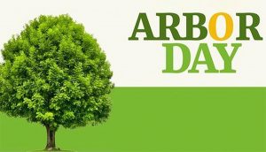 National Arbor Day Slogans in Hindi