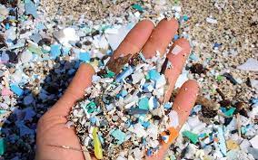 Plastic pollution harmful effects