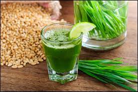 Wheatgrass Juice Benefits And Side Effects 