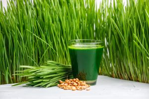 Wheatgrass Juice Benefits And Side Effects 