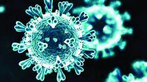 Coronavirus New Cases Again In NCR